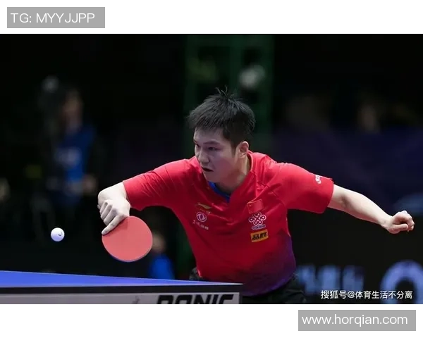 南京乒乓球队在挑战赛中的力量展现与技术分析全面点评